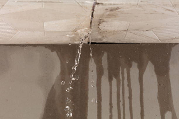 Professional Sewage Cleanup technician working in Oakville, WA